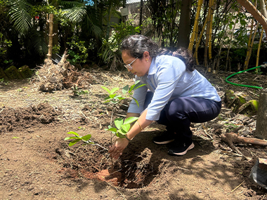 CSR Initiative 9